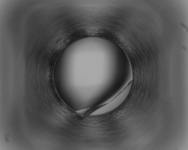 X0000091170221200709060940