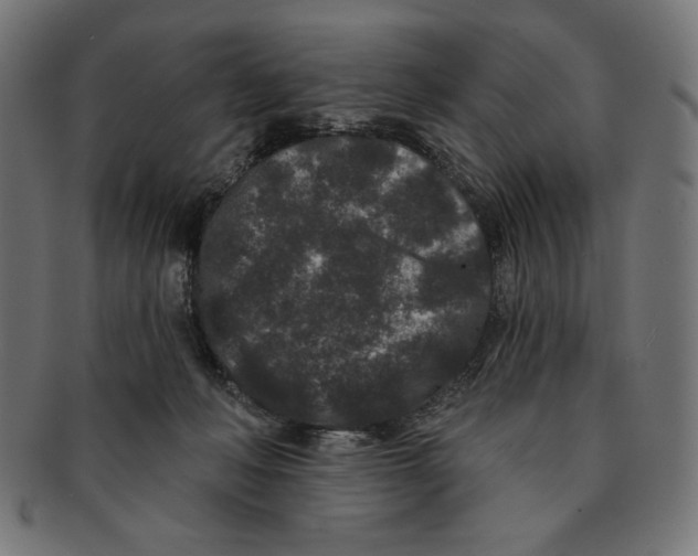 X0000091170222200709060940