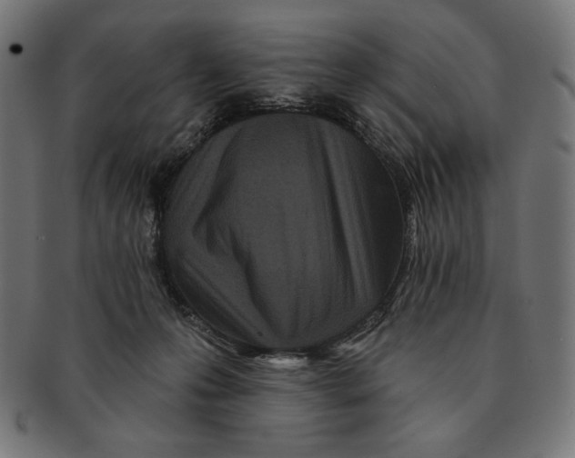 X0000091170223200709060940