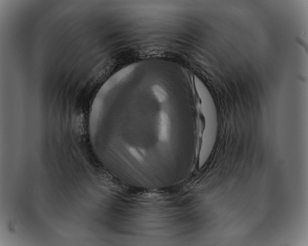 X0000091170224200709060940