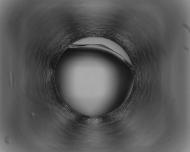 X0000091170225200709060940