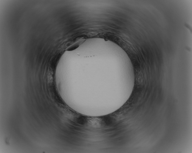 X0000091170226200709060940