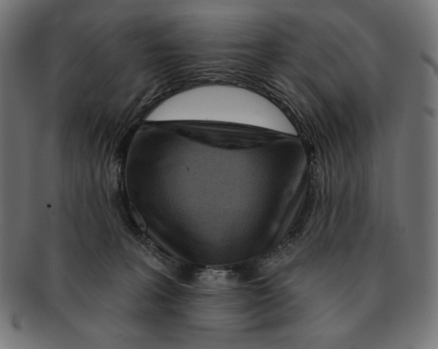 X0000091170227200709060940