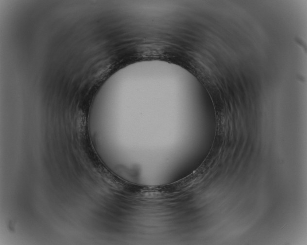 X0000091170228200709060940