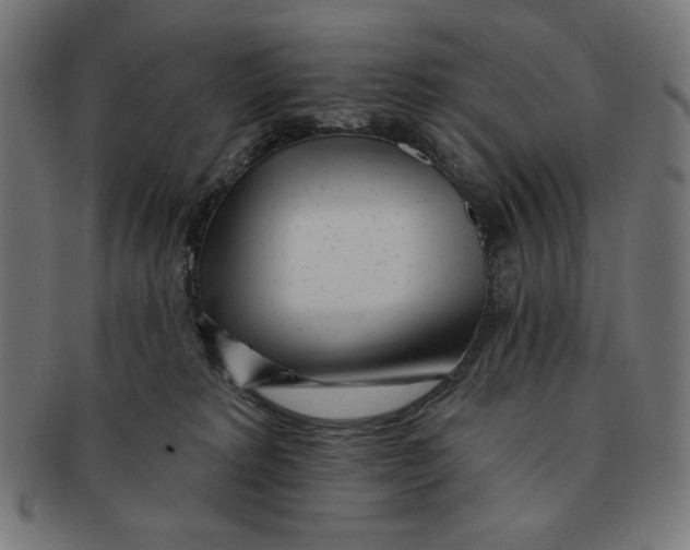 X0000091170229200709060940