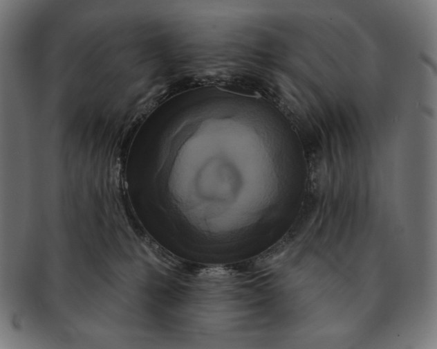 X0000091170231200709060940