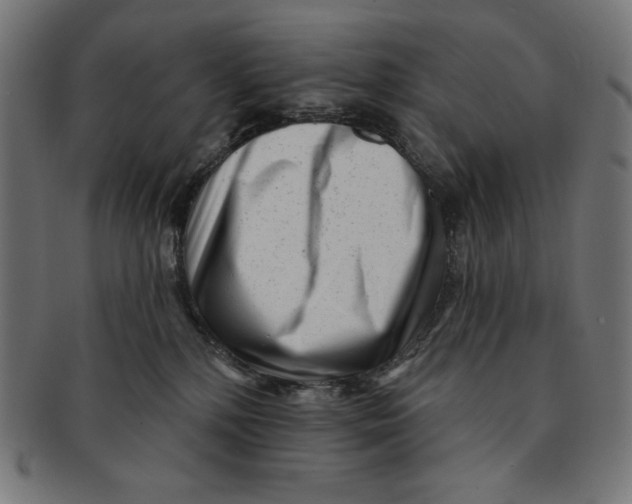 X0000091170232200709060940
