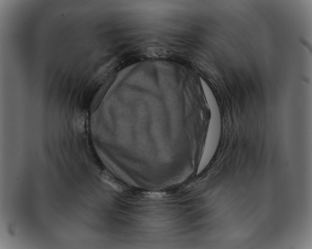 X0000091170233200709060940