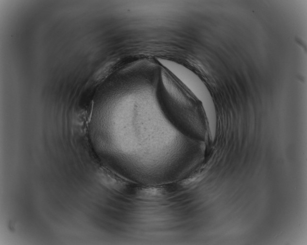 X0000091170237200709060940