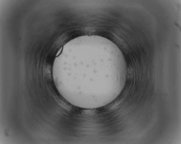 X0000091170238200709060940