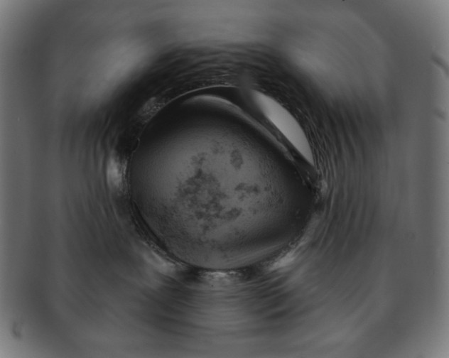 X0000091170239200709060940