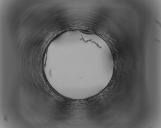 X0000091170241200709060939