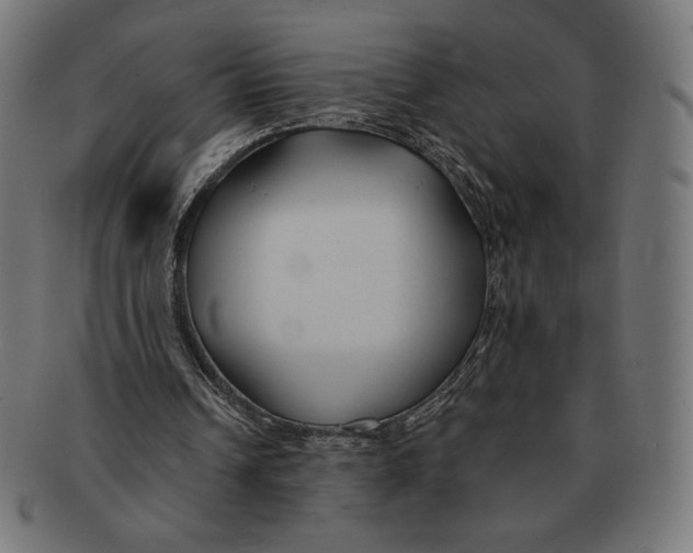 X0000091170242200709060939