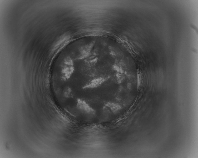 X0000091170243200709060939