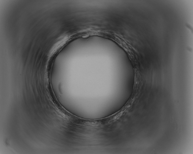 X0000091170245200709060939