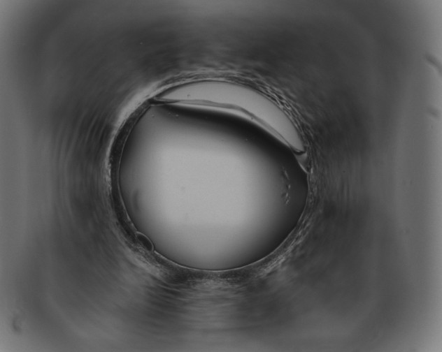X0000091170246200709060939