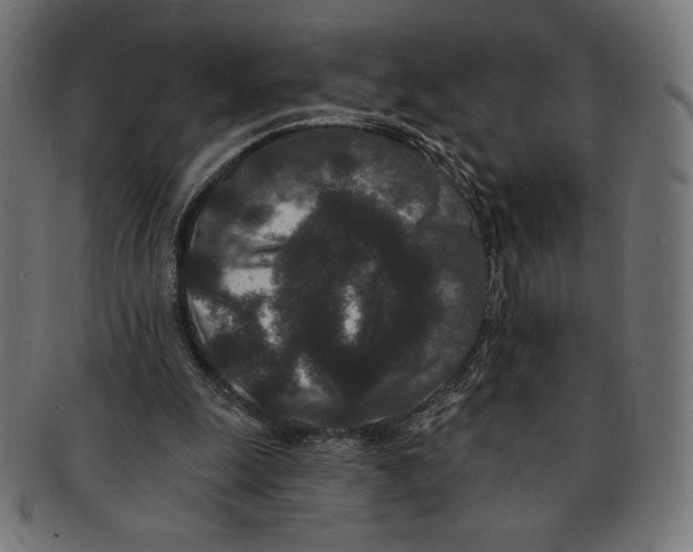 X0000091170247200709060939