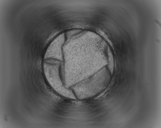 X0000091170249200709060939