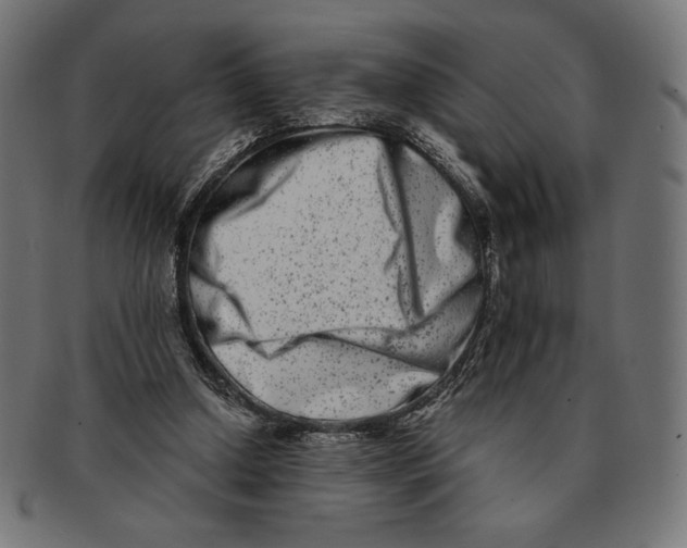 X0000091170250200709060939
