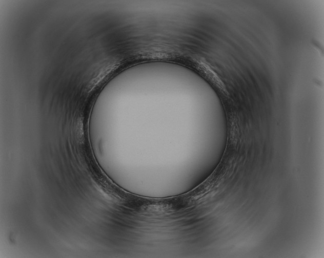 X0000091170251200709060939
