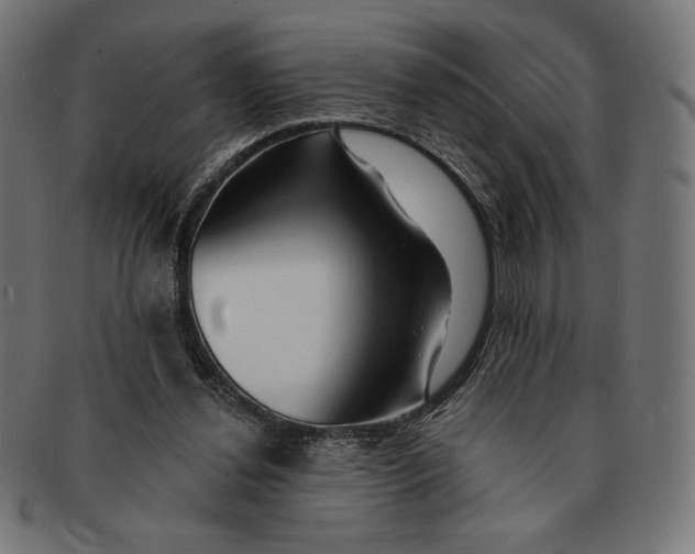 X0000091170252200709060940
