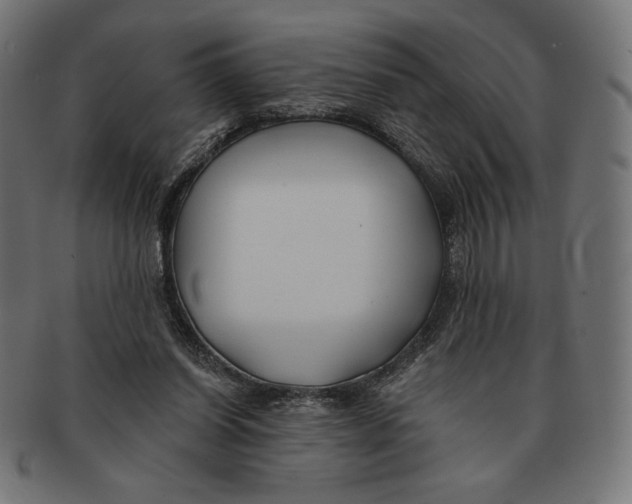 X0000091170254200709060940
