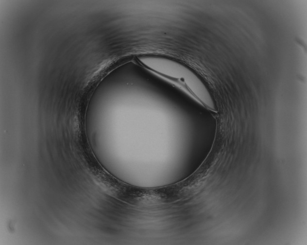 X0000091170256200709060940