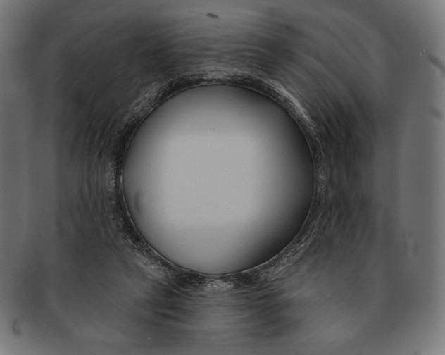 X0000091170257200709060940