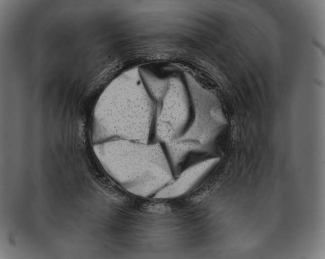 X0000091170258200709060940