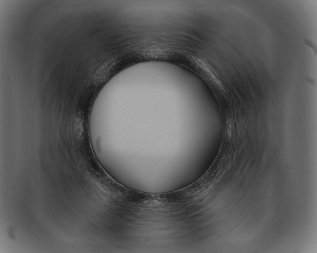 X0000091170259200709060940