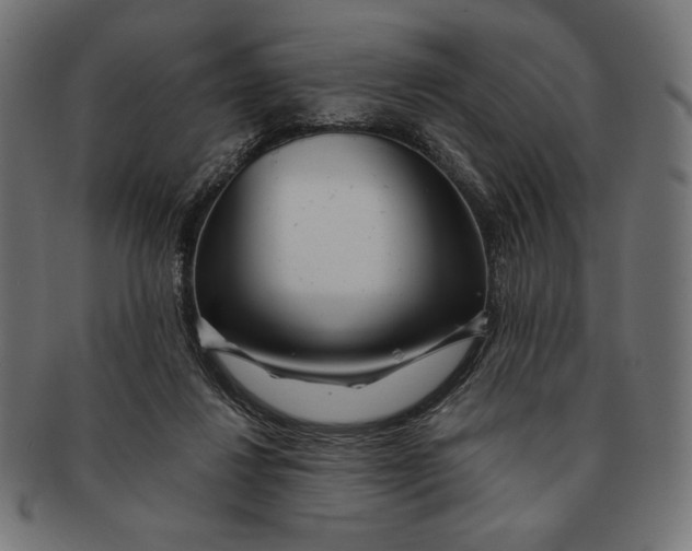 X0000091170260200709060940