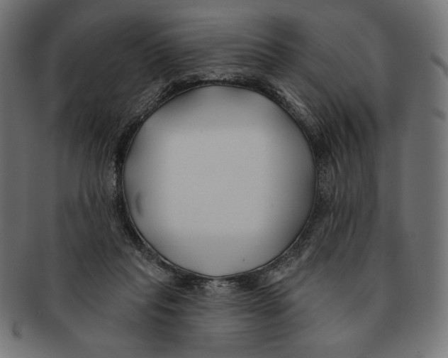 X0000091170261200709060940
