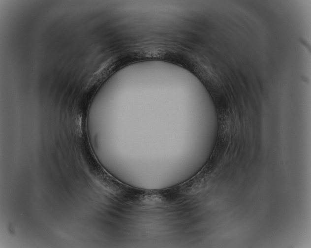 X0000091170262200709060940