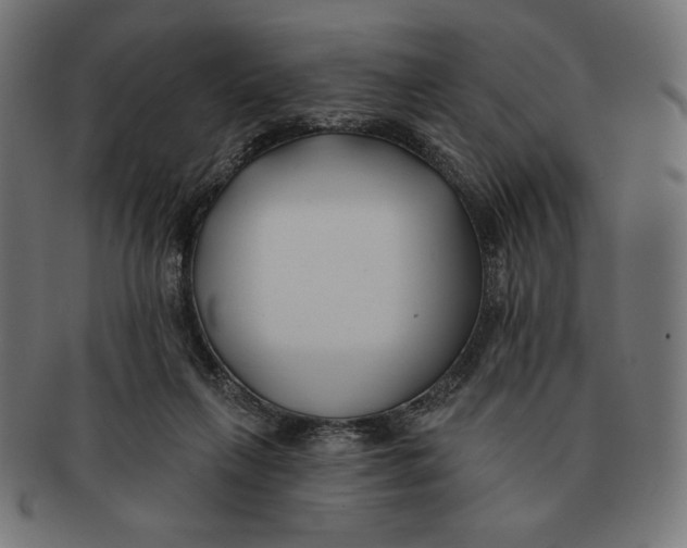 X0000091170263200709060940