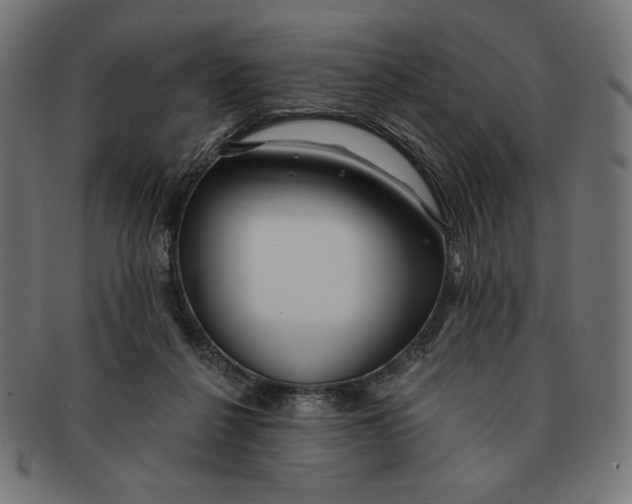 X0000091170264200709060940