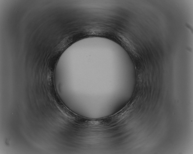 X0000091170265200709060940