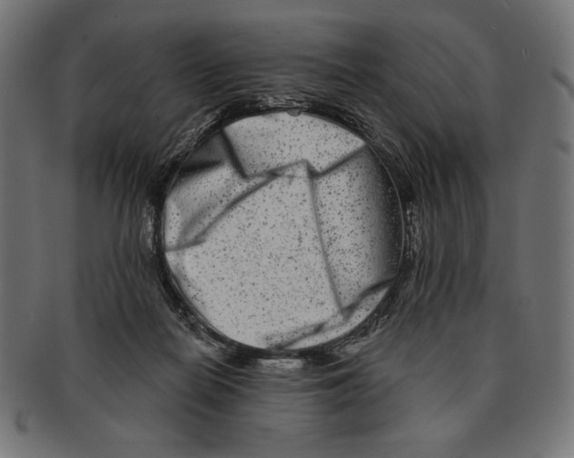 X0000091170266200709060940