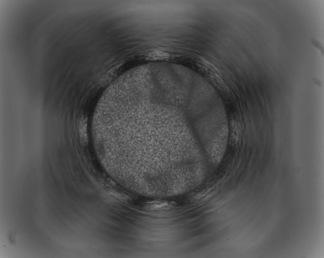 X0000091170267200709060940