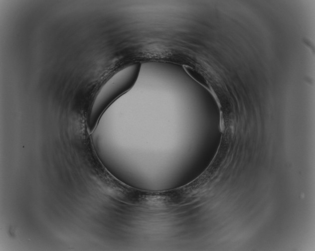 X0000091170268200709060940