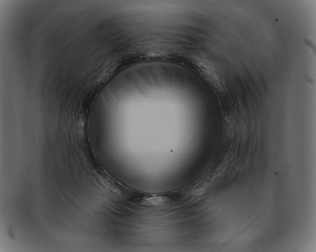X0000091170269200709060940