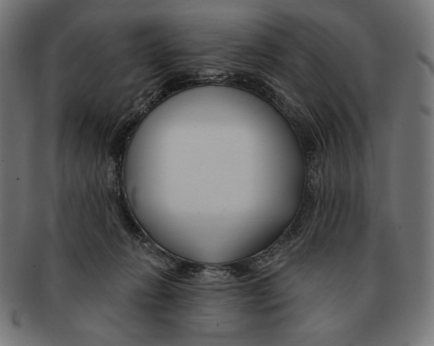 X0000091170270200709060940