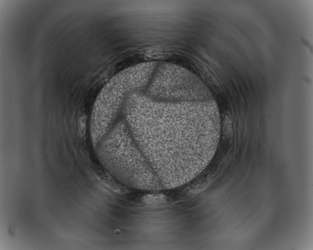 X0000091170271200709060940