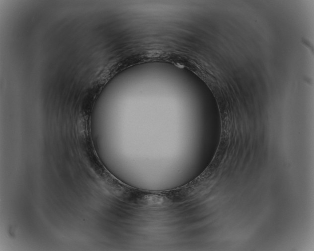 X0000091170272200709060940