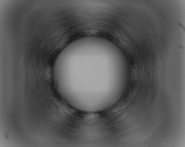 X0000091170274200709060940