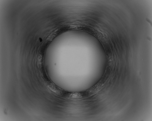 X0000091170275200709060940