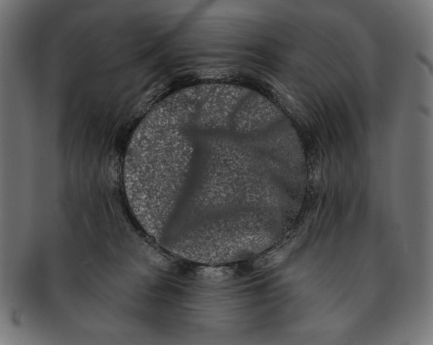 X0000091170277200709060940