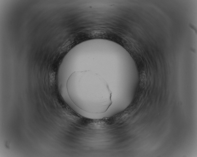 X0000091170278200709060940