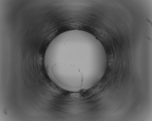 X0000091170279200709060940