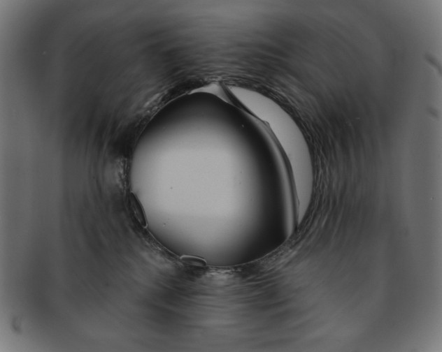 X0000091170280200709060940