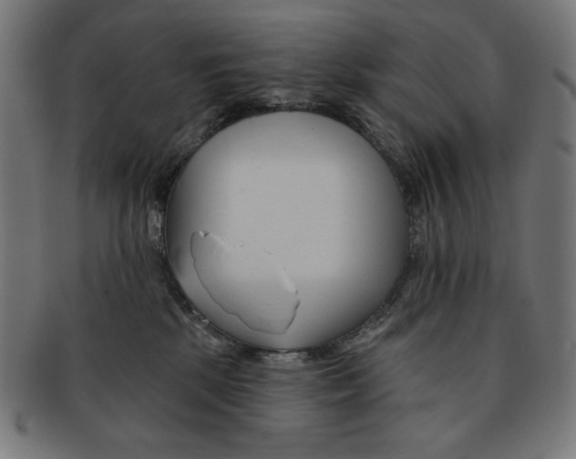 X0000091170281200709060940